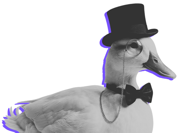 Bussines Model Duck Quarki