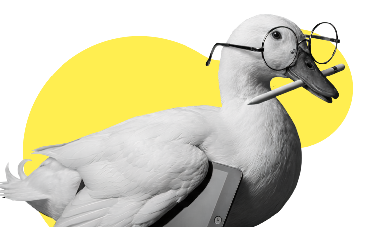 Contact Duck Quarki