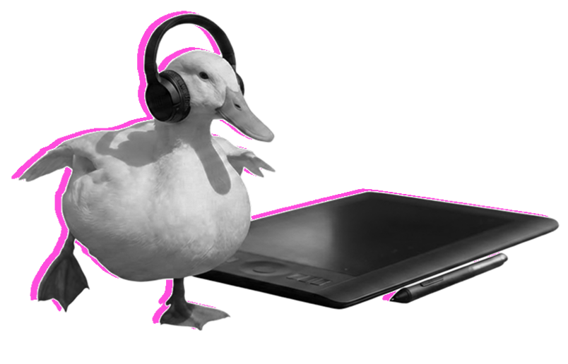 Experience Design Duck Quarki