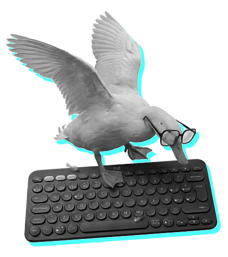Tech Transformation duck Quarki